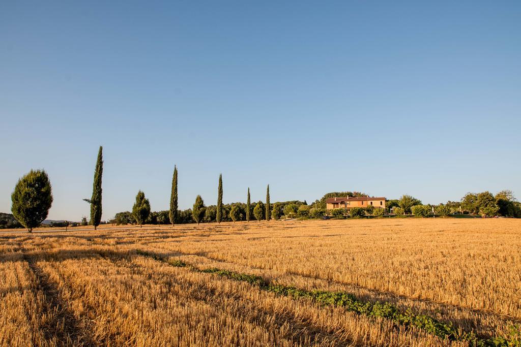 Agriturismo Il Tiro Castel del Piano  Exterior photo
